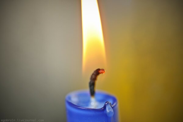 Leuchtend blaue Kerze mit brennendem Docht