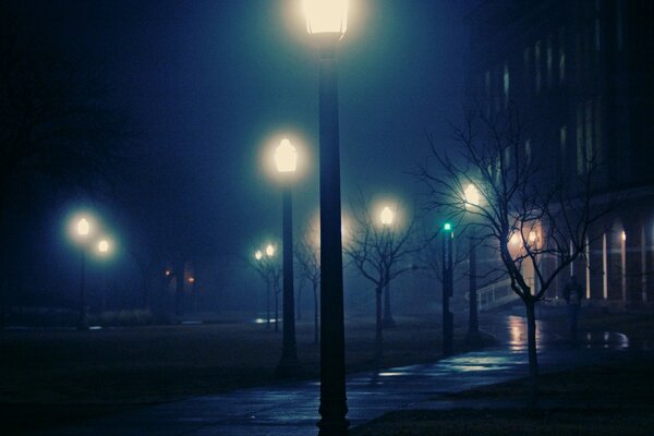 Ночь. Улица. Свет фонаря