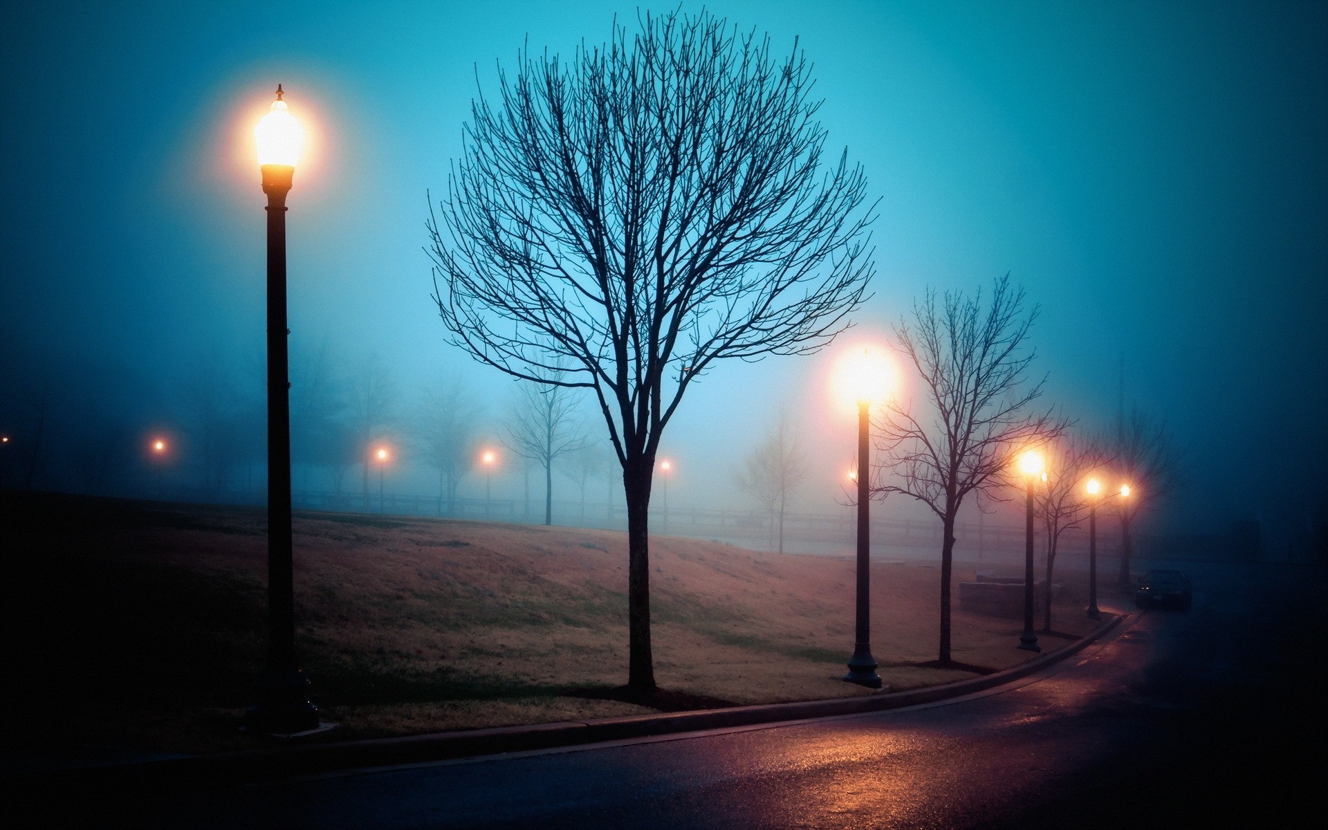 straße park nebel richmond atmosphäre stadt