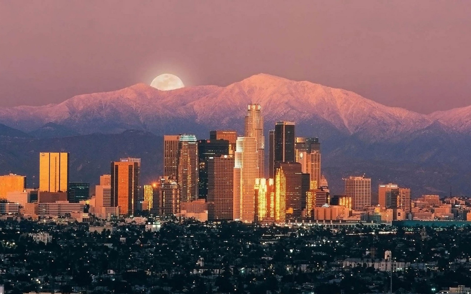 los angeles rosa la città stati uniti