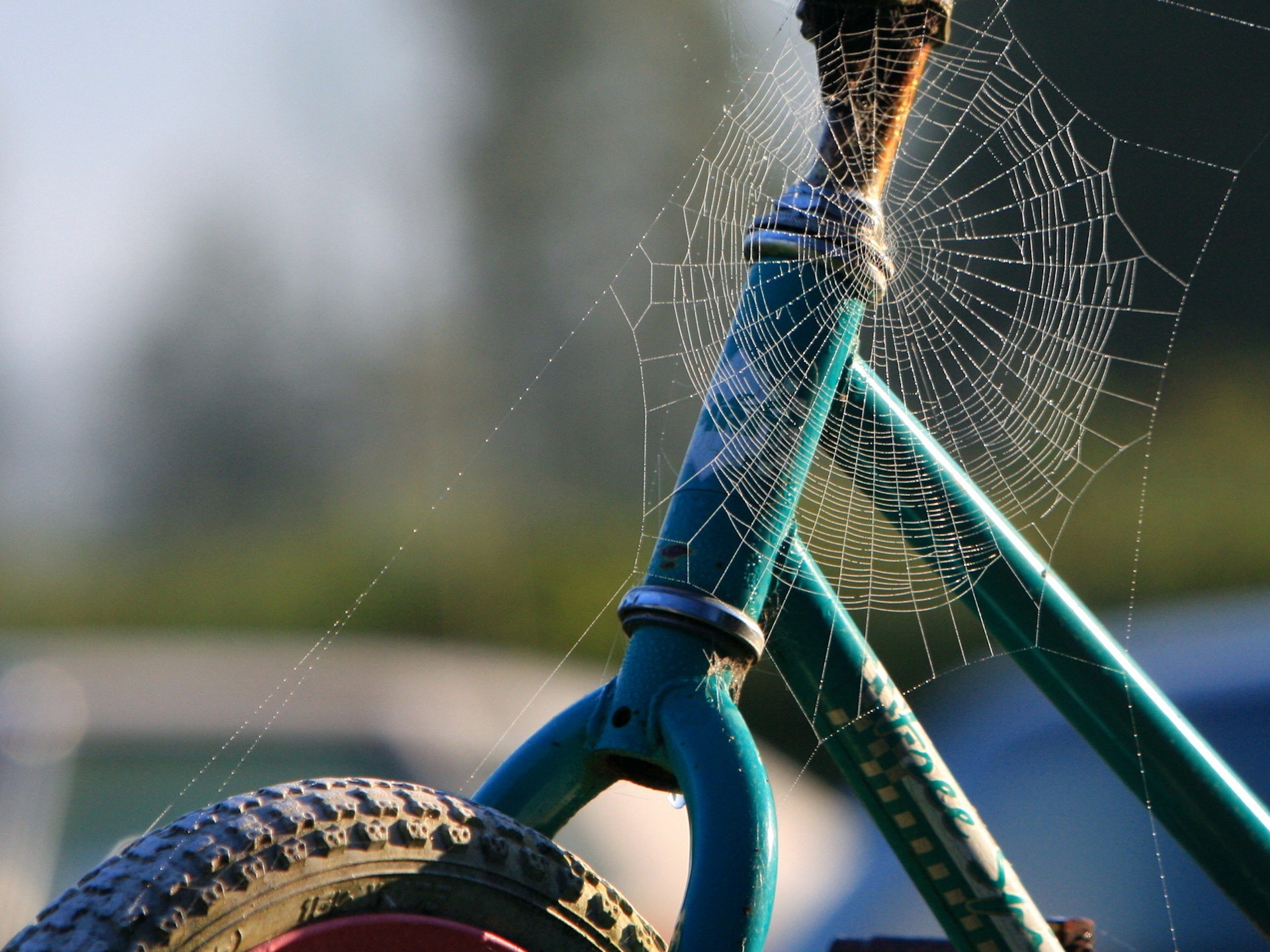 bike web