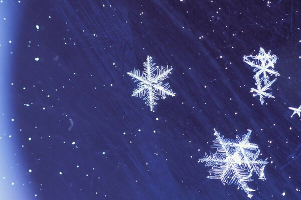 A variety of white snowflakes on a blue background