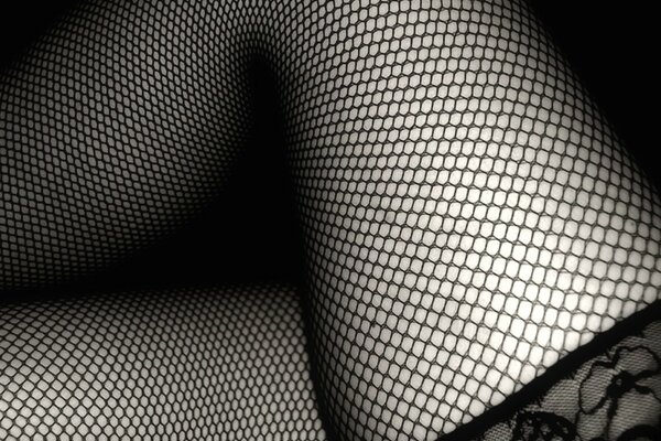 A leg in a black fishnet stocking