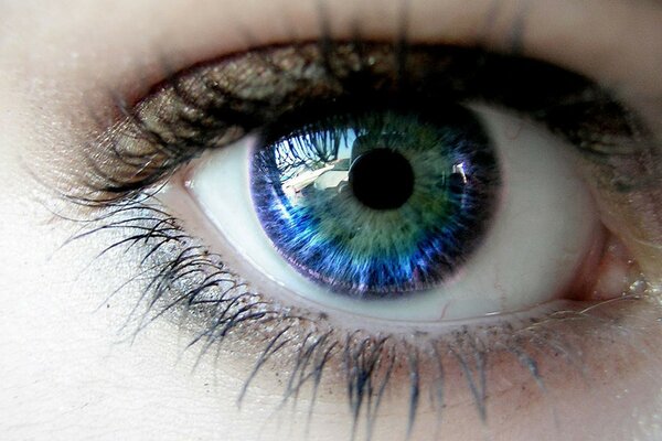 An eye with an emerald pupil