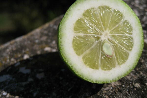 Ein Stück Limette liegt auf einem Stein