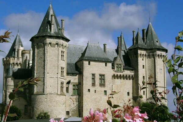 The grey castle of Neuhschwanstein is in need of repair