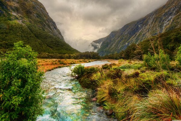 Rich natural landscape of New Zealand