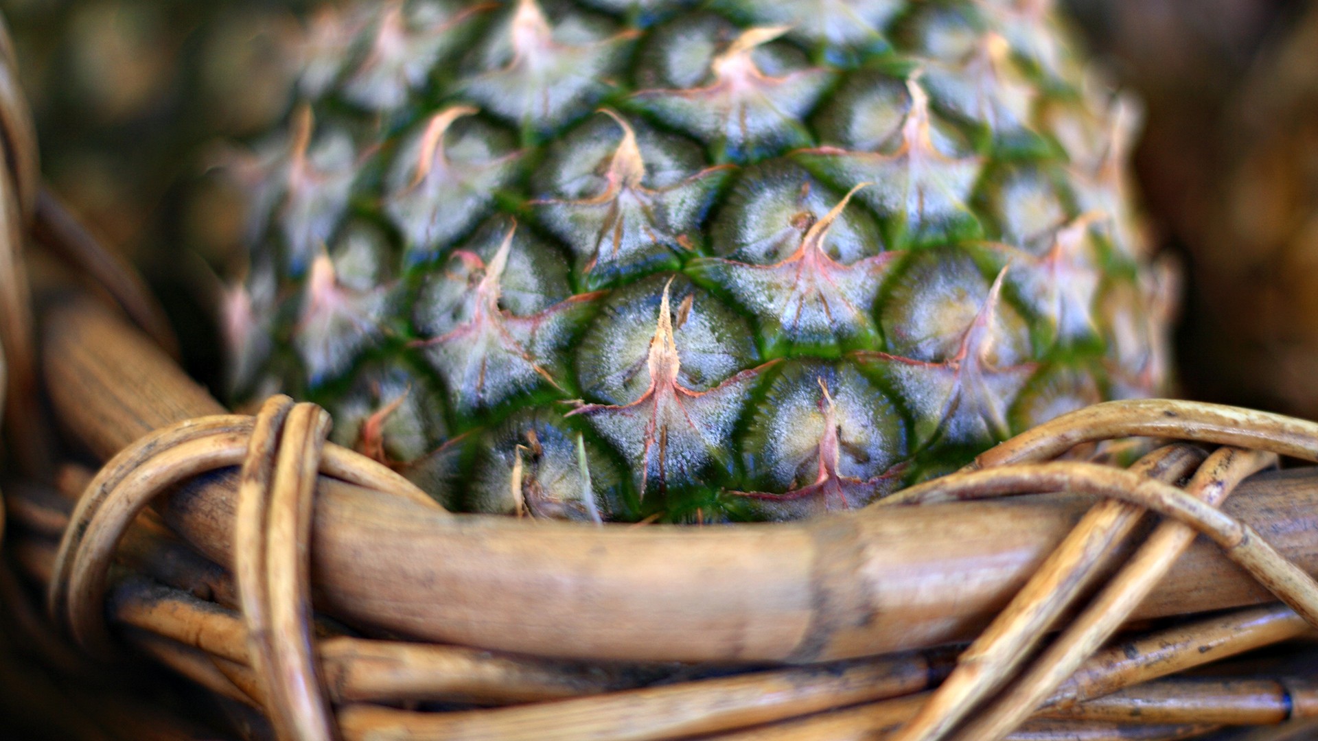 ananas cestino macro