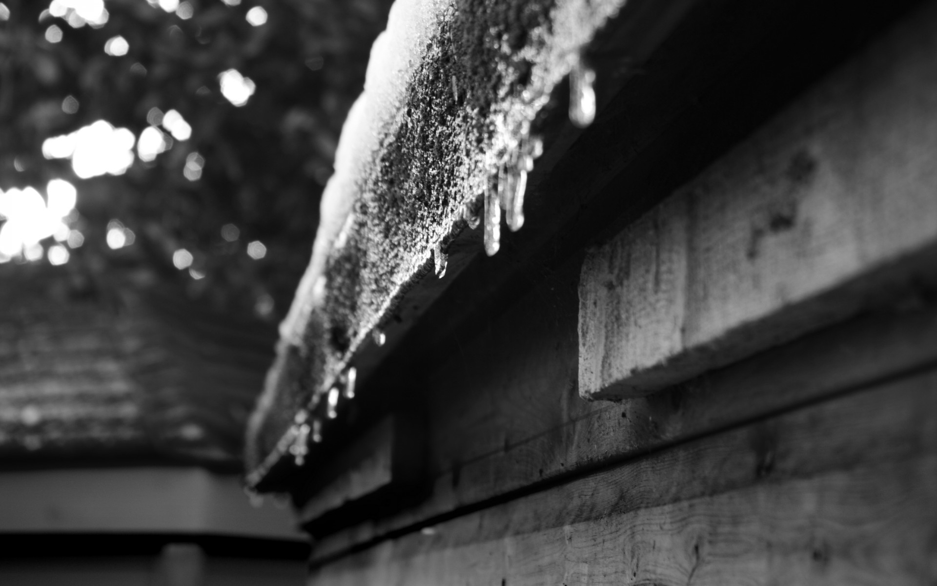 icicles snow wood