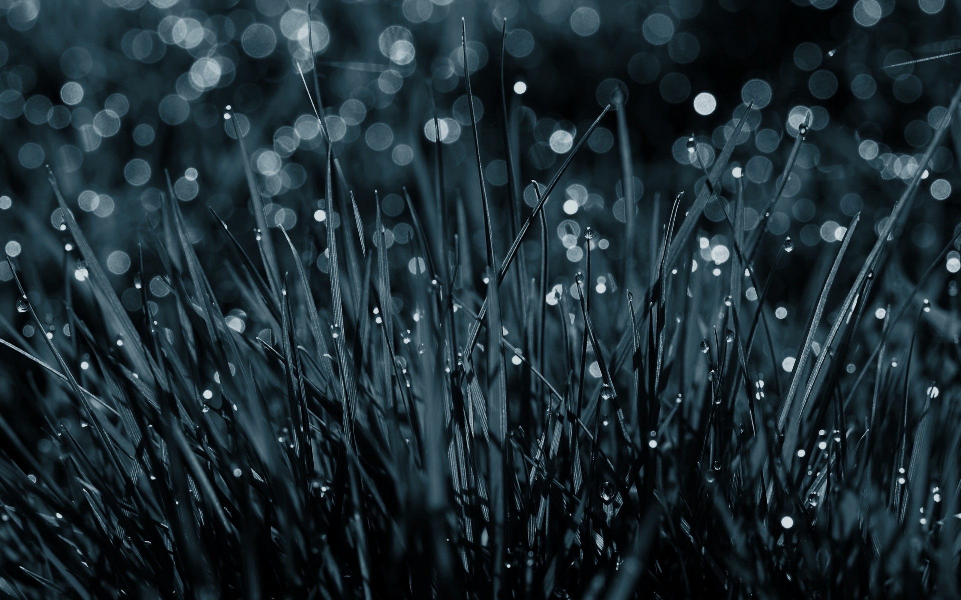 drops grass without color