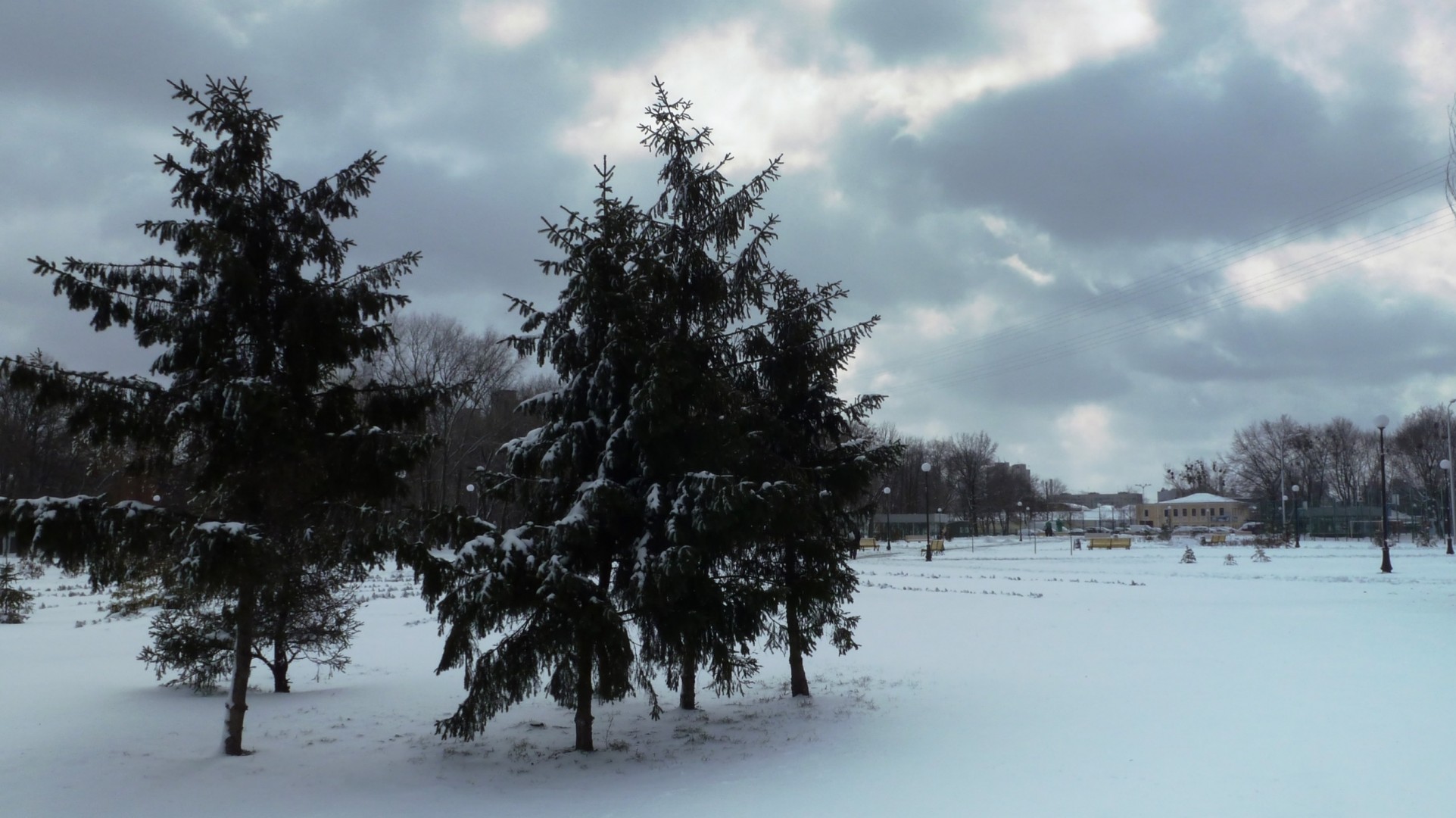 abete rosso neve marzo kharkov