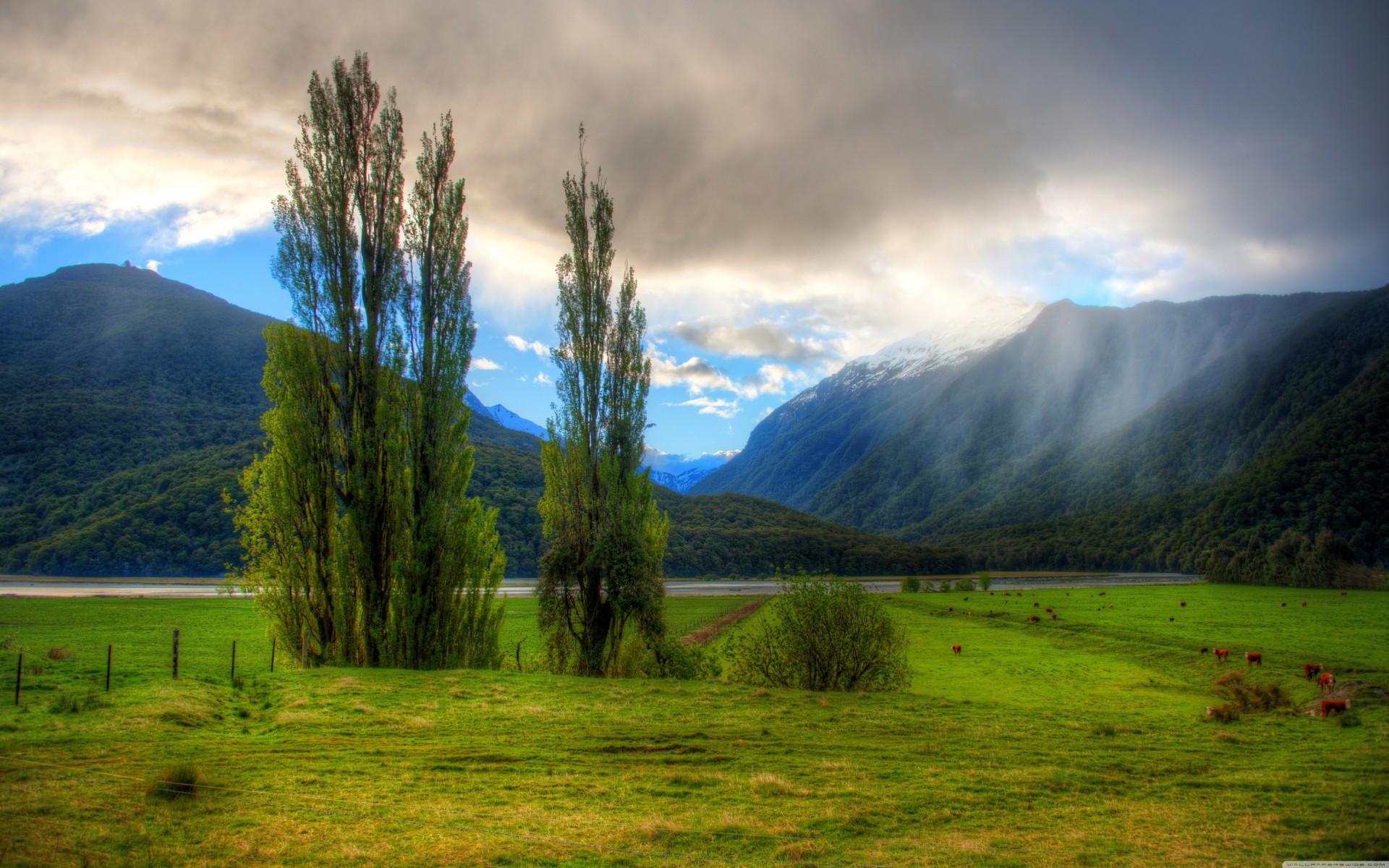 mountain clouds landscape palm grass people regular