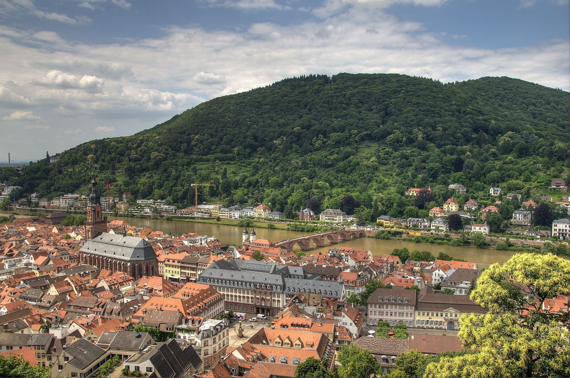 cathedral landscape river heidelberg bridge forest panorama building germany tree