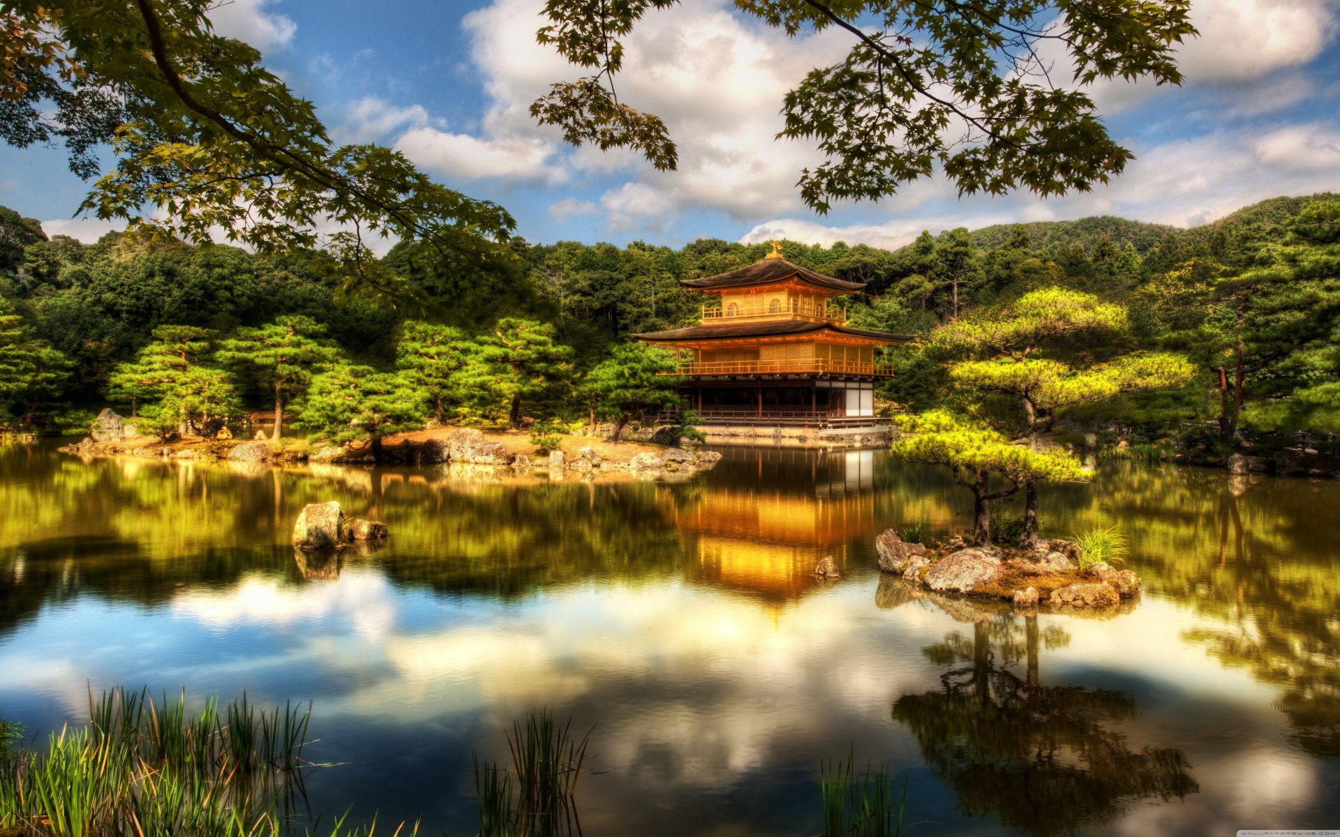 lago oro palmeras pabellón kyoto templo jardín japón