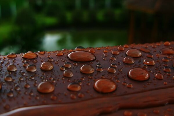 De nombreuses gouttes de pluie sur le pont