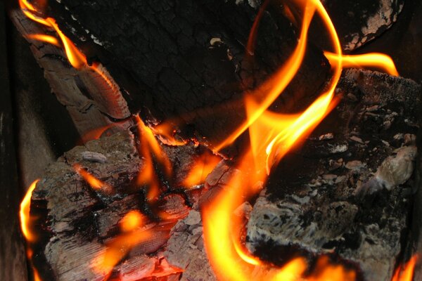 Flames on firewood