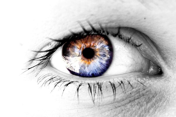 Фиолетовый глаз на чёрно-белом фоне