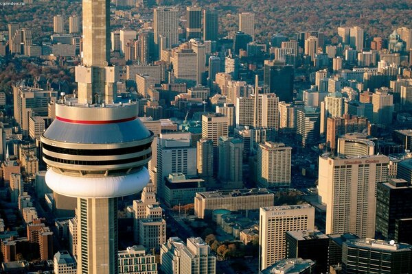 Vista dall alto della città di Toronto