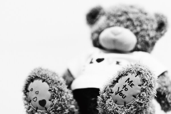 Teddy Bear stuffed toy