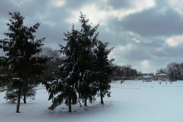 Aßen im Schnee Anfang März in Charkow