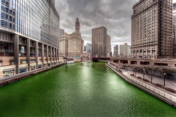 Bellissimi edifici sul lungomare di Chicago