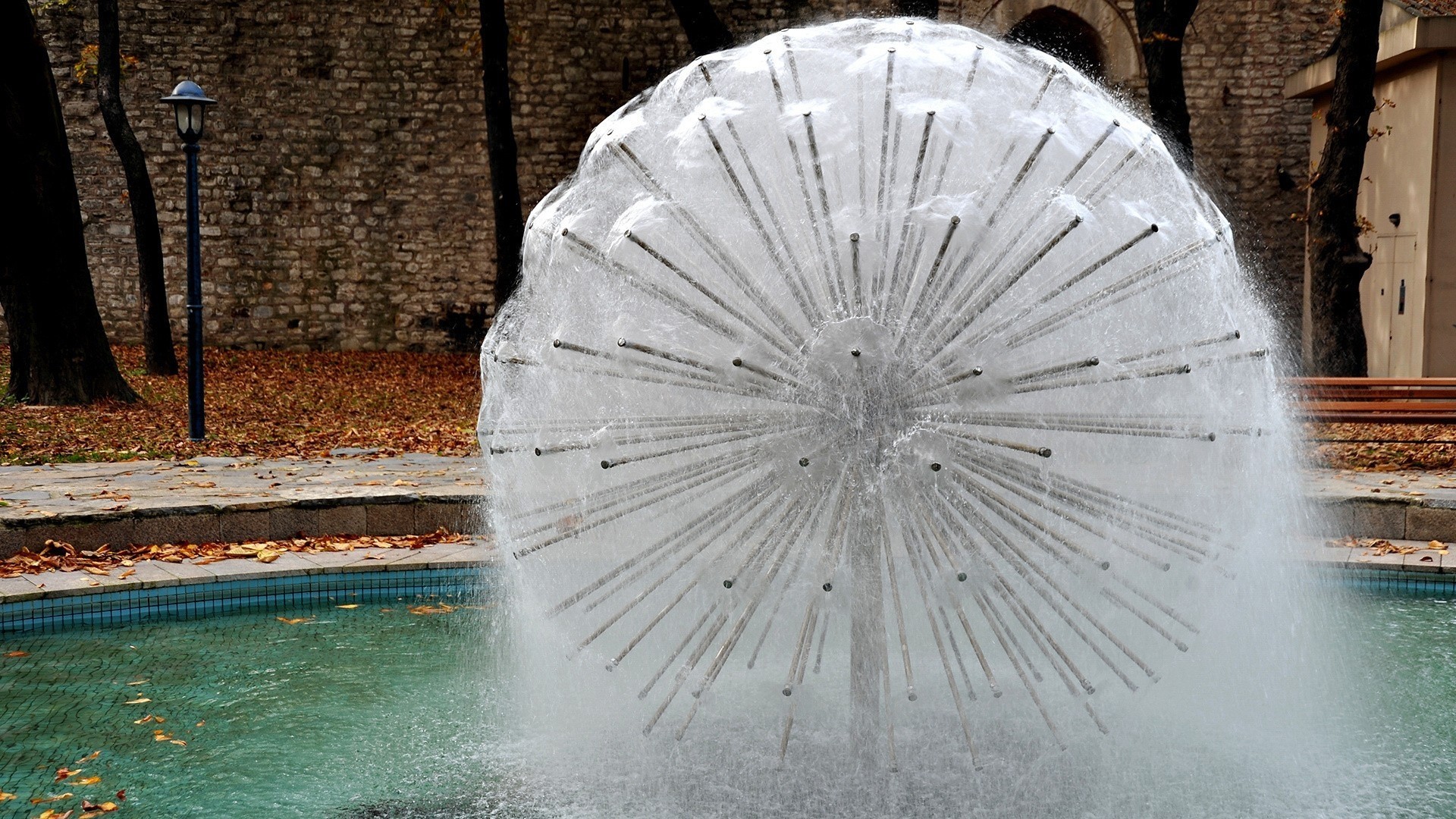 diente de león fuente agua macro ciudad