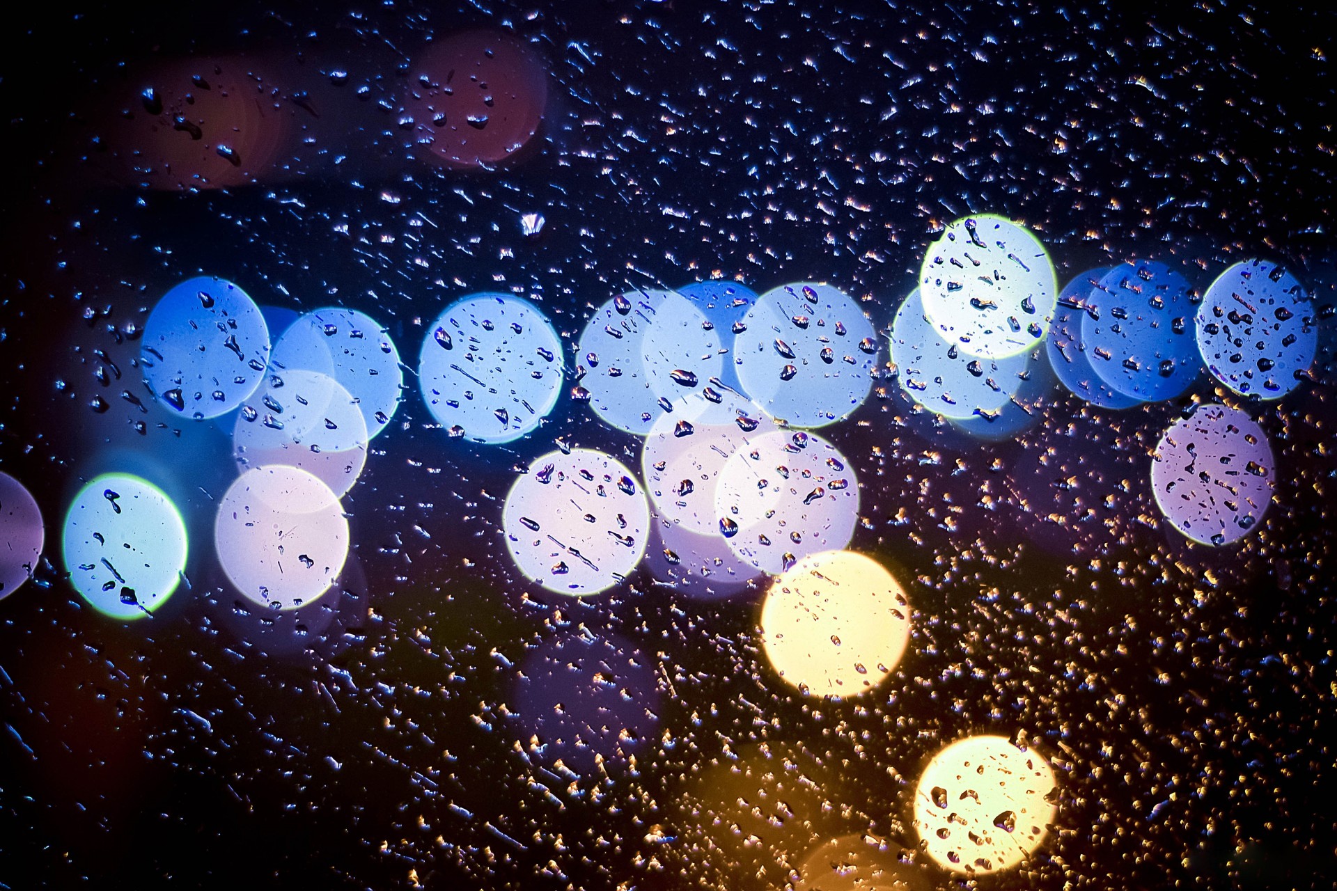 rain falls night light