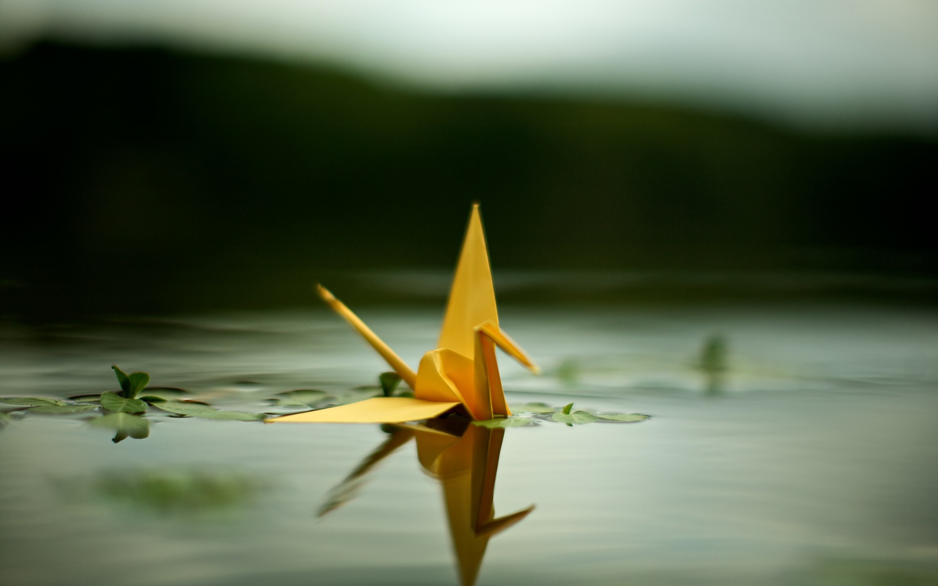 crane origami pond