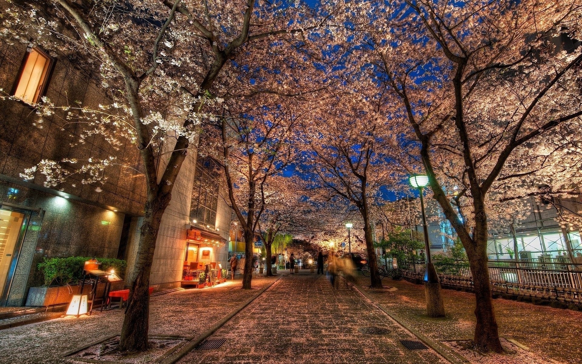 nuit illuminations ruelle