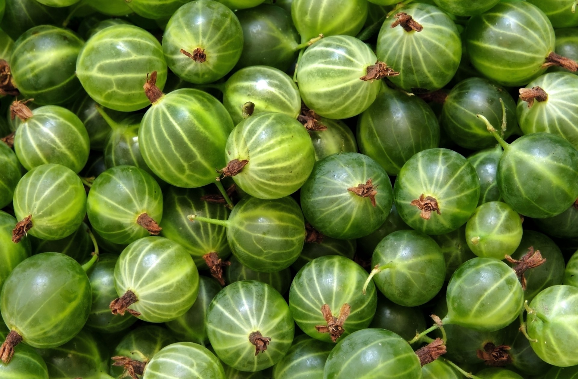 gooseberries many green