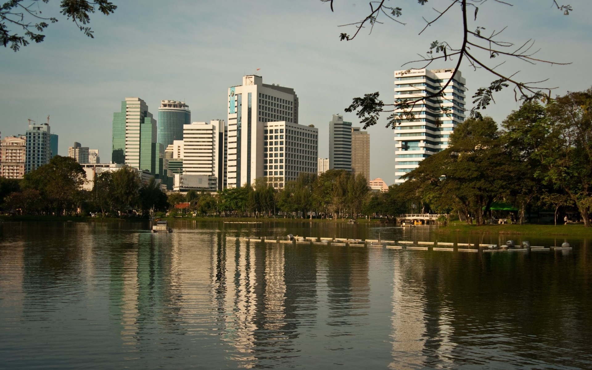 bäume park thailand reflexion stadt