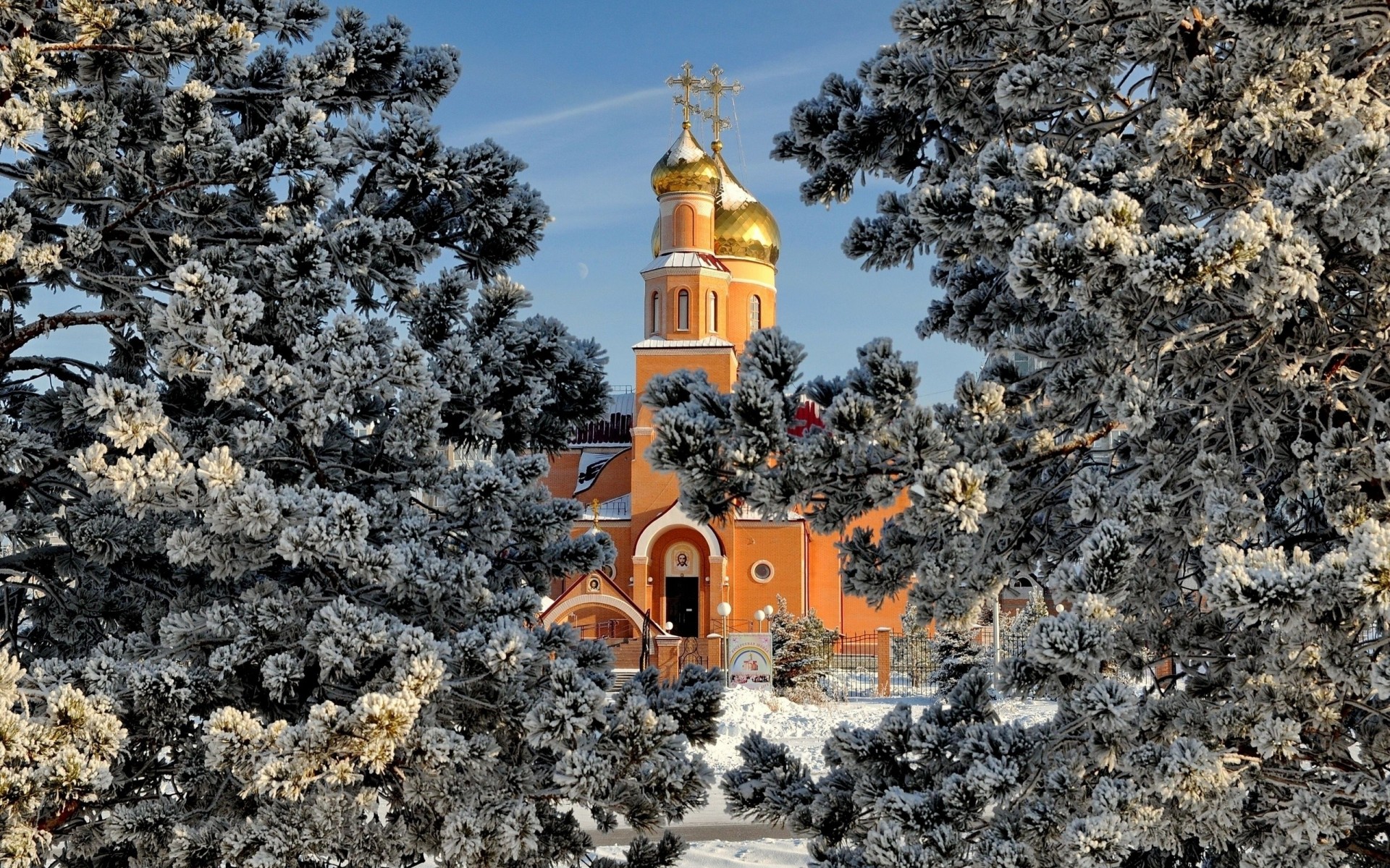 tempio alberi inverno