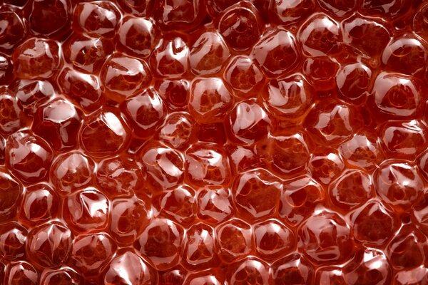 Photo red caviar bubbles