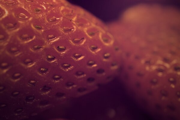 Red strawberries in macro photography