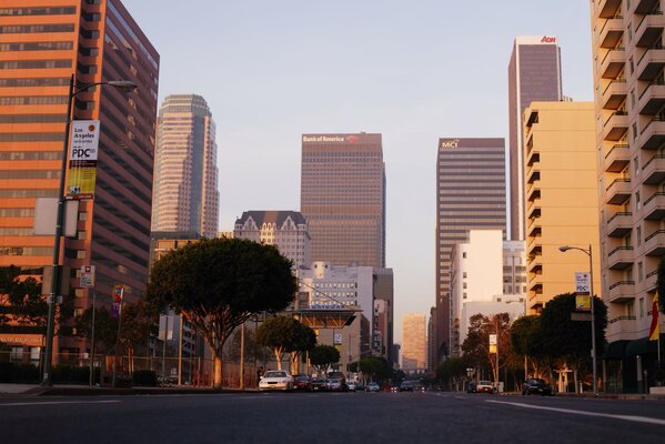 Sunset in a big city among skyscrapers