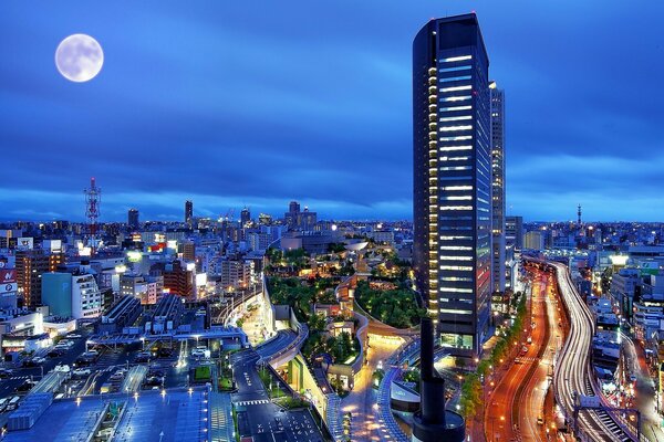 Night metropolis and tall buildings