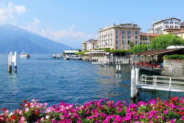 Fiori viola e rosa accanto al Ponte Bianco