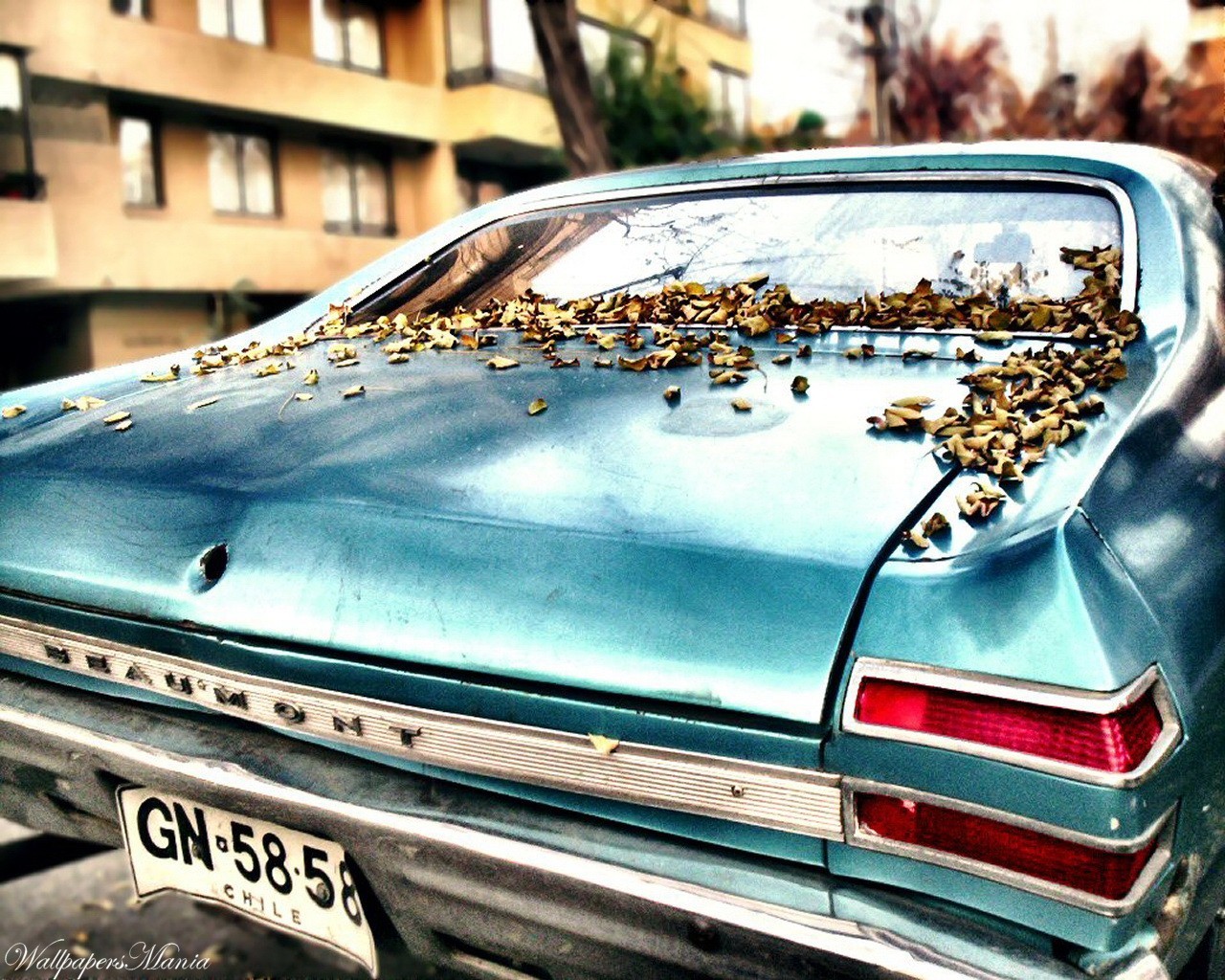 auto scheinwerfer herbst