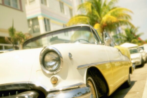 Elvis s car in Miami on the background of palm trees