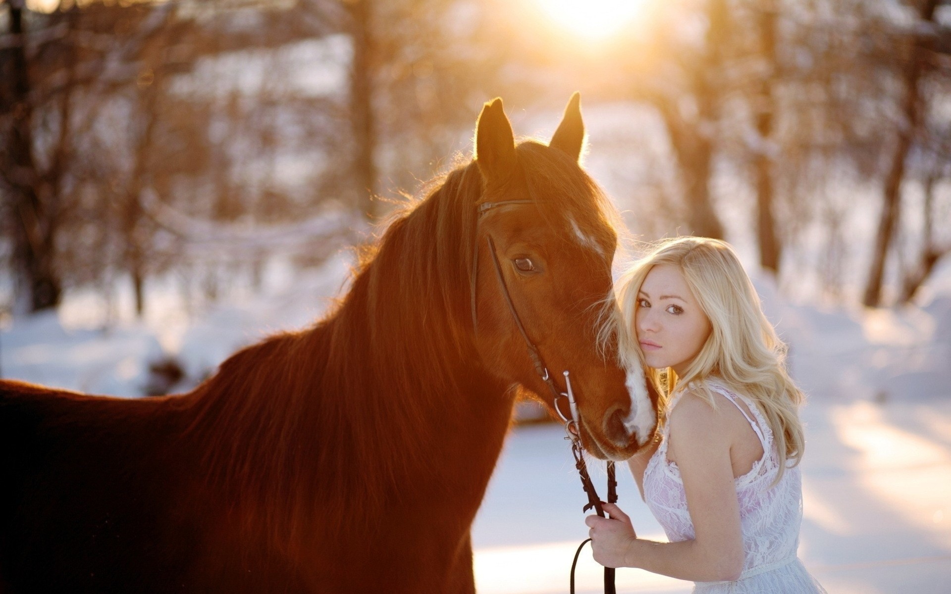 a woman snow girl animals horse blonde