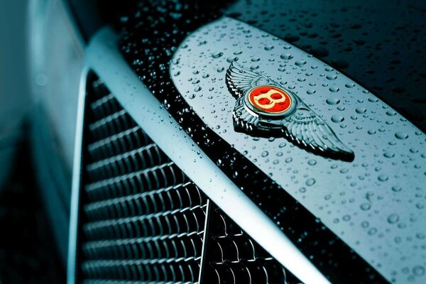 Logotipo de Bentley auto pole con gotas de agua