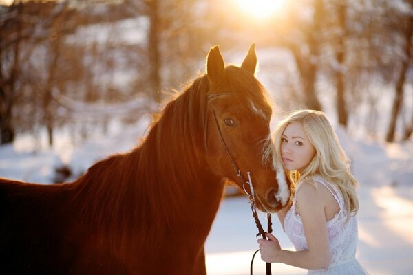 L esthétique hivernale du cheval et de la fille aux cheveux blancs