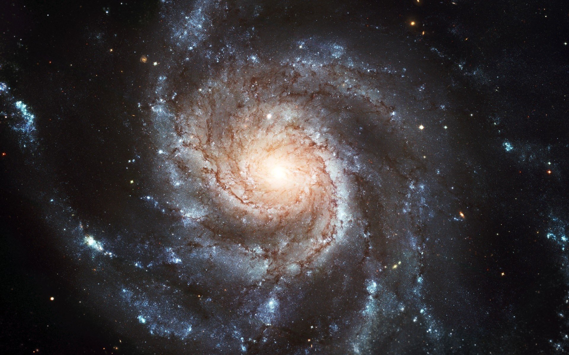 spirale polvere cosmica stelle marrone universo galassia spazio esterno nebulosa