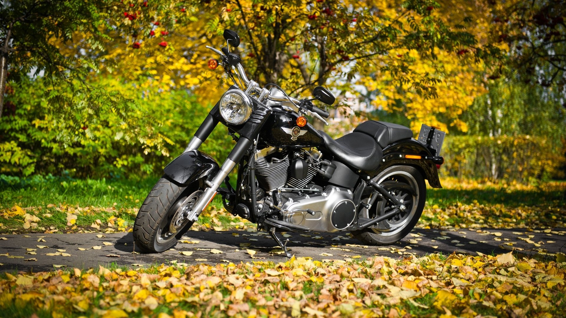 rowery harley davidson metalowe jesień