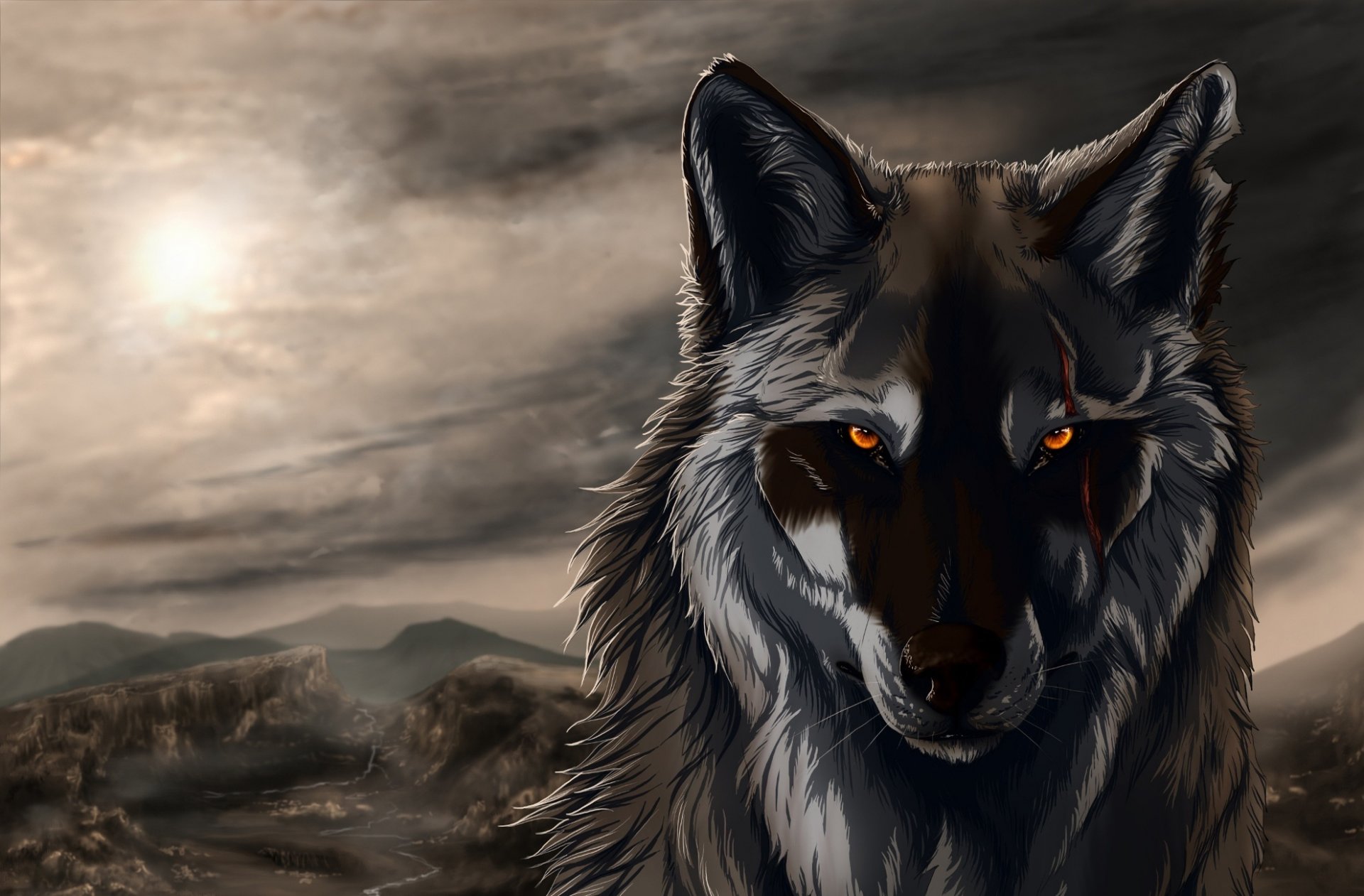 dessin loup ombre ciel vue