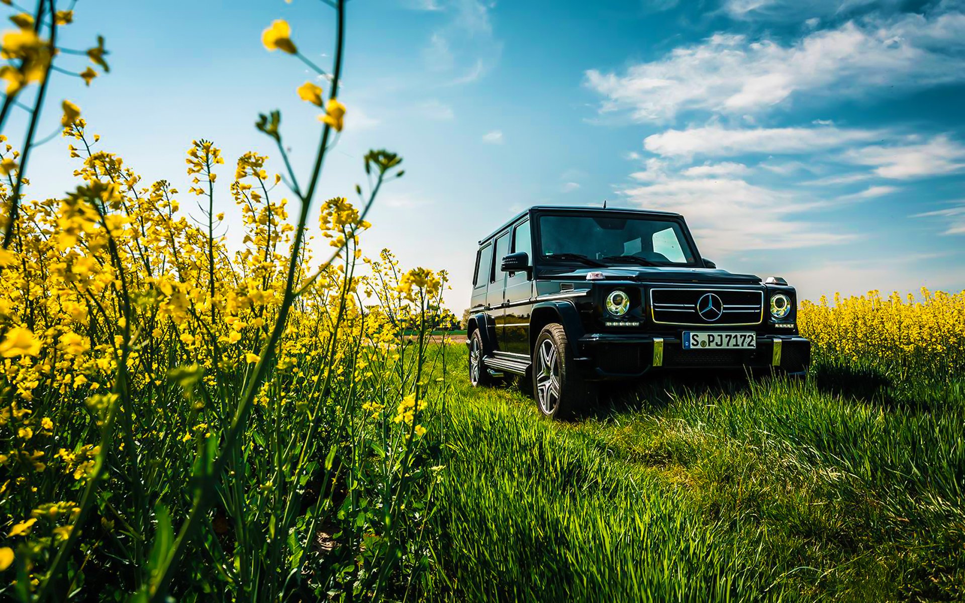 mercedes-benz g63 amg grass summer flowers sky sun black car front