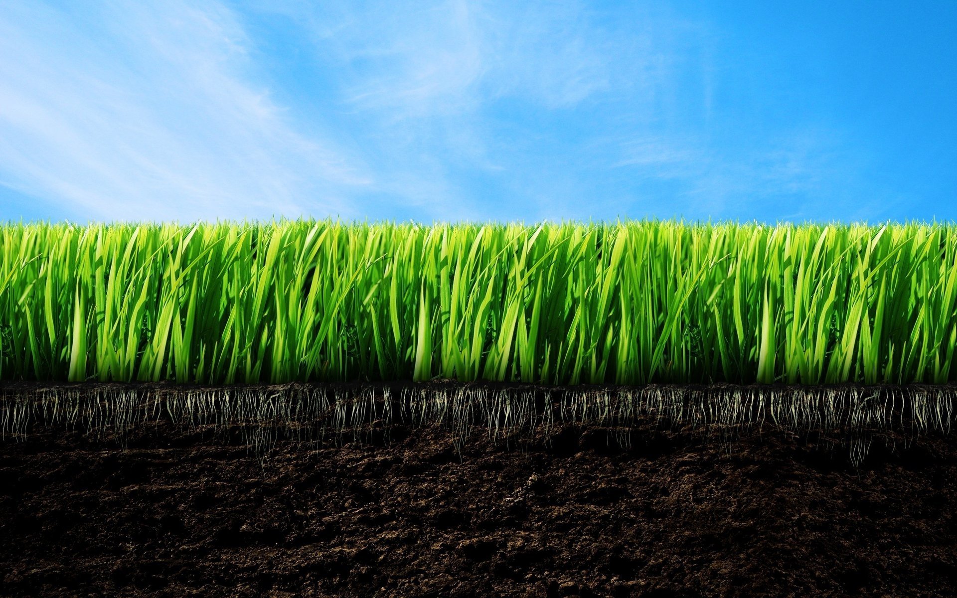 minimalism earth green grass blue sky greens the sky clouds macro