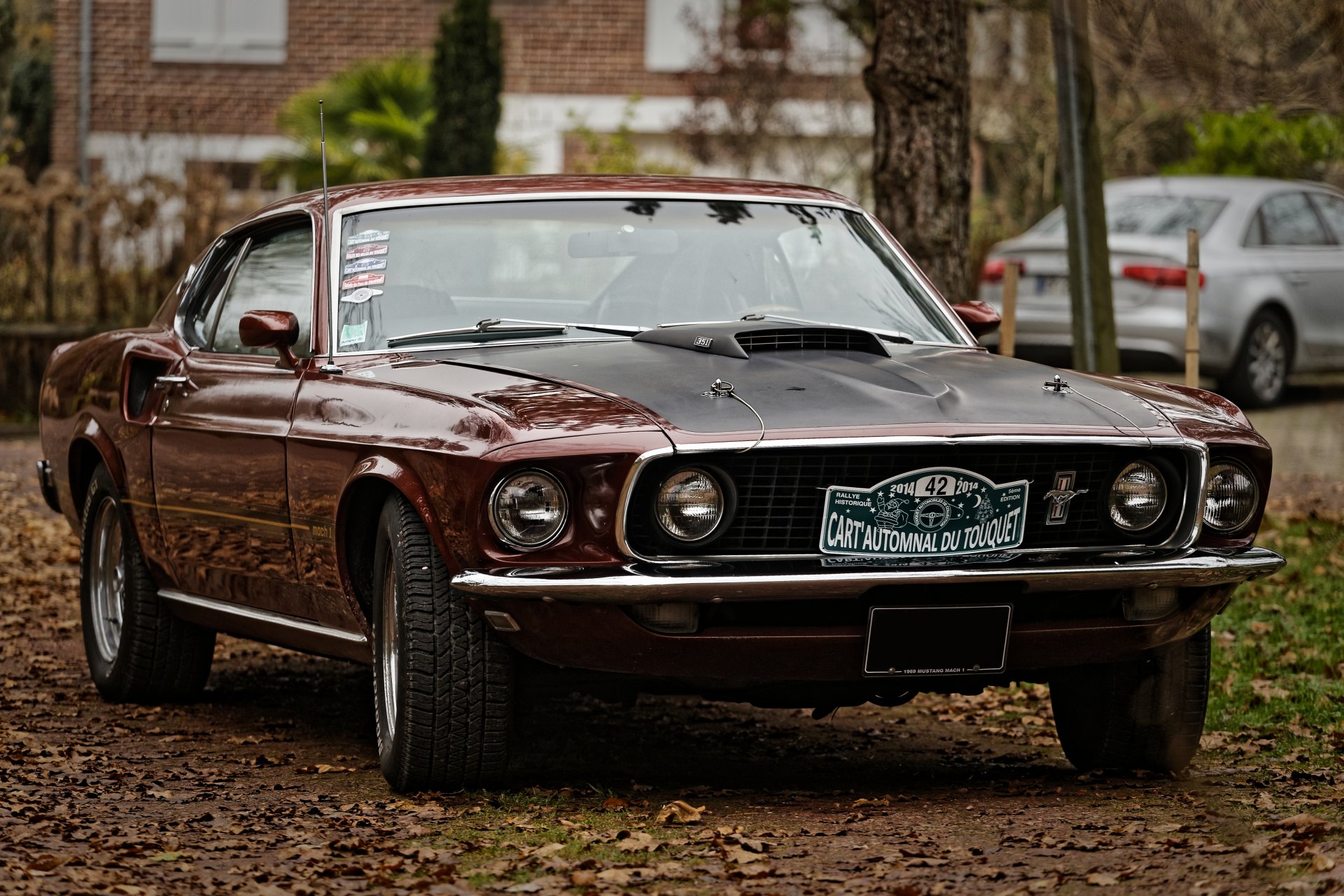 ford mustang front end muscle car muscle car