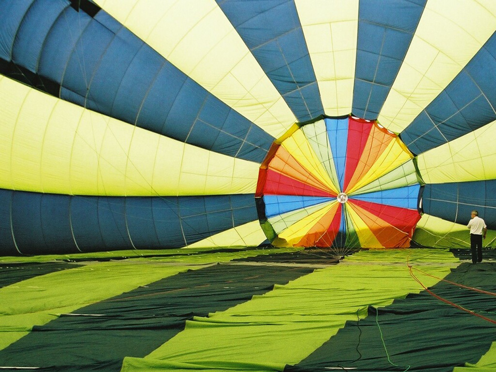 balloon multicolored beautiful