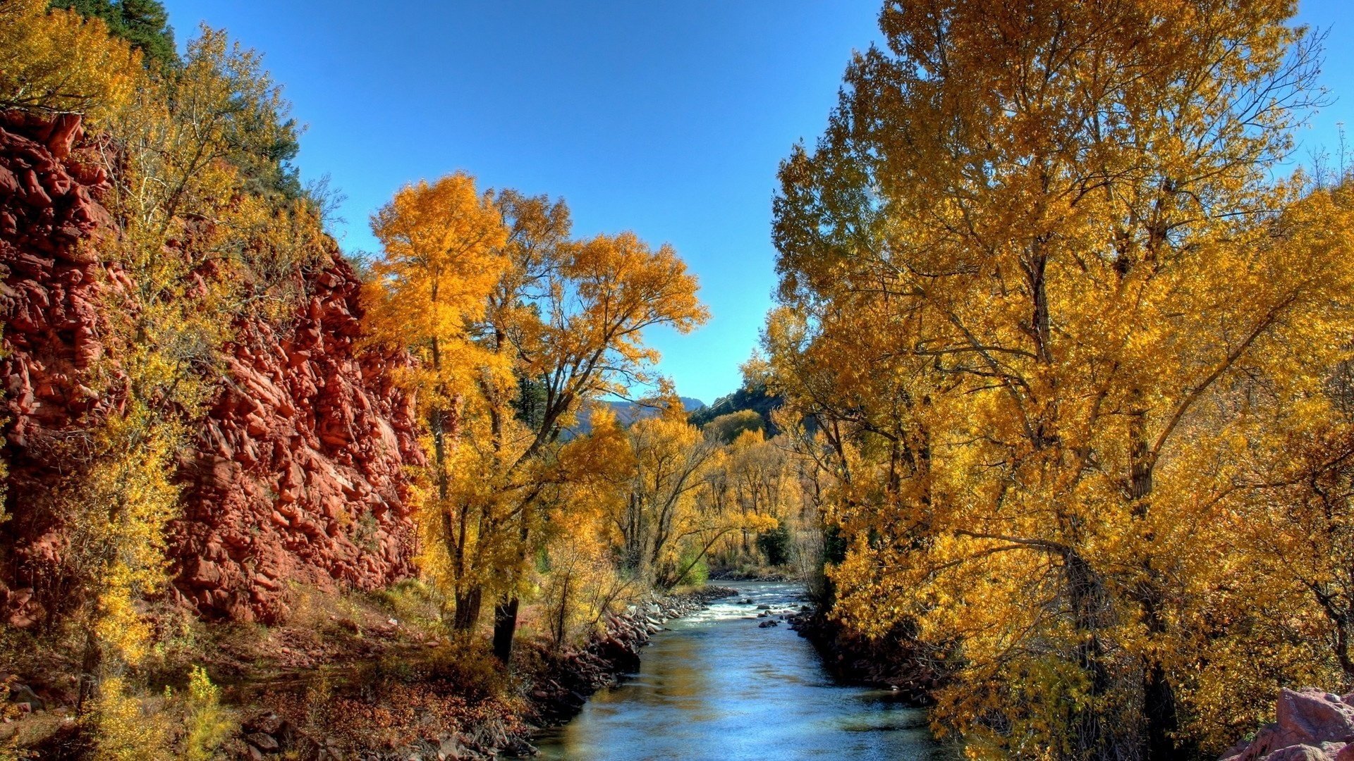 gelbes laub gebirgsfluss bäume wald flüsse laubfall goldene zeit sommer gelbe blätter herbstfarben